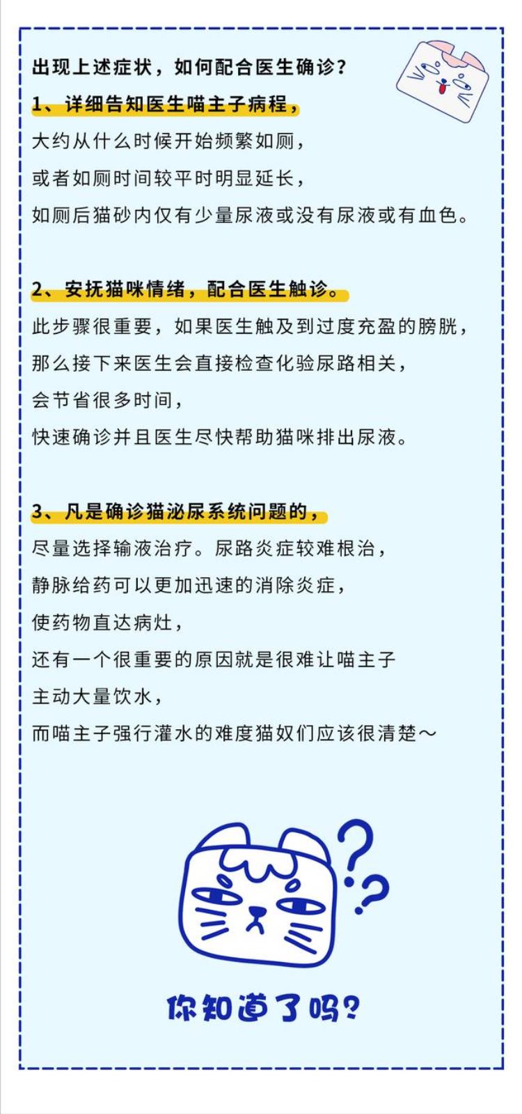 猫咪尿频尿急尿不尽「尿频尿急尿不尽喵星人痛痛快快怎么就这么难」