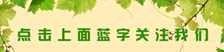 广元市假酒案「广元市食药监局检查酒类经营场所75家假冒伪劣酒246瓶估价16万余元」