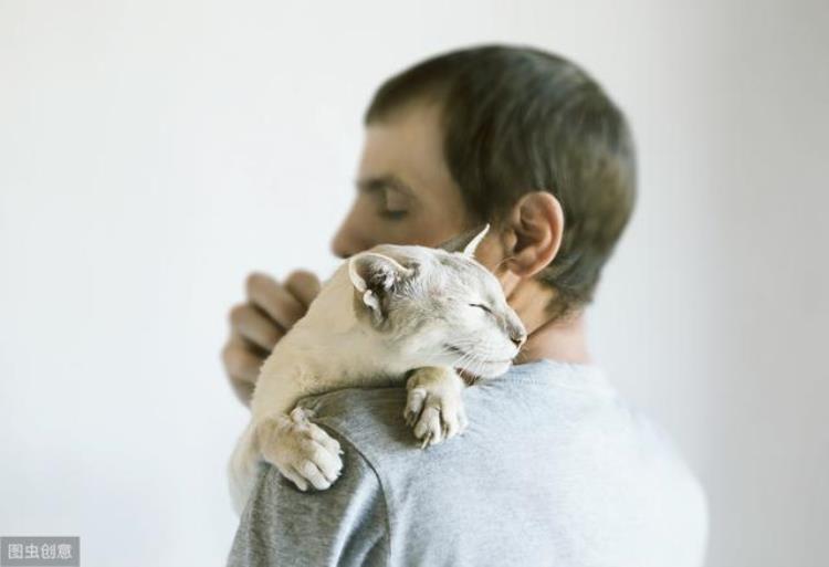 猫流鼻涕的症状「辟谣气温变化时猫流鼻涕咳嗽就是感冒猫支气管炎与之症状相似」