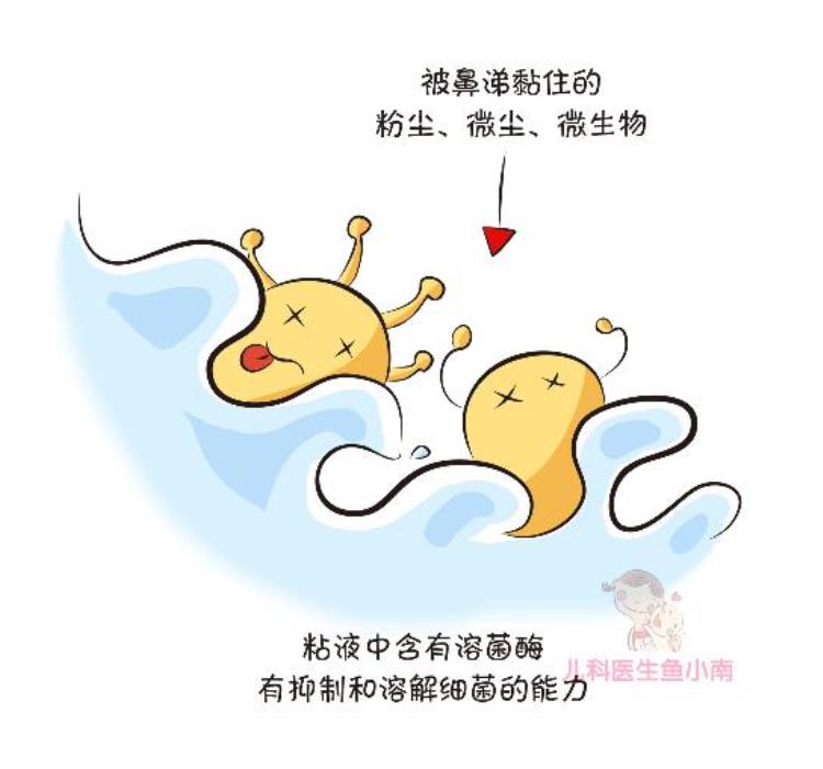 白色的鼻涕和黄色的鼻涕有什么区别「白鼻涕黄鼻涕不同颜色的鼻涕对应着不同的健康状态」