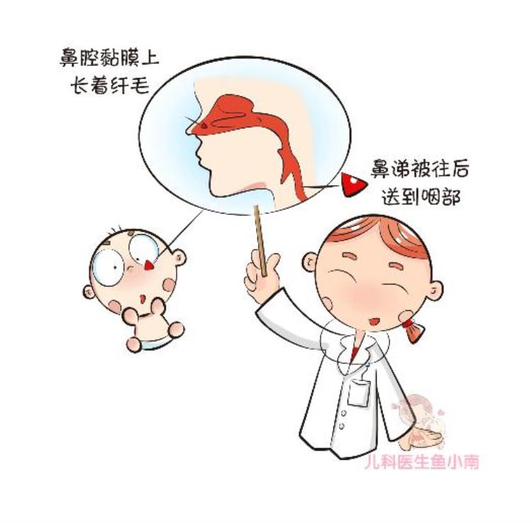 白色的鼻涕和黄色的鼻涕有什么区别「白鼻涕黄鼻涕不同颜色的鼻涕对应着不同的健康状态」