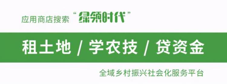 美丽乡村建设的要求有哪些「美丽乡村规划的要求有哪些为什么要进行美丽乡村规划呢」