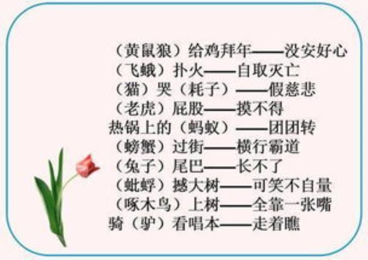 麻雀虽小——五脏俱全「麻雀虽小五脏俱全15㎡也可以变身小别墅」