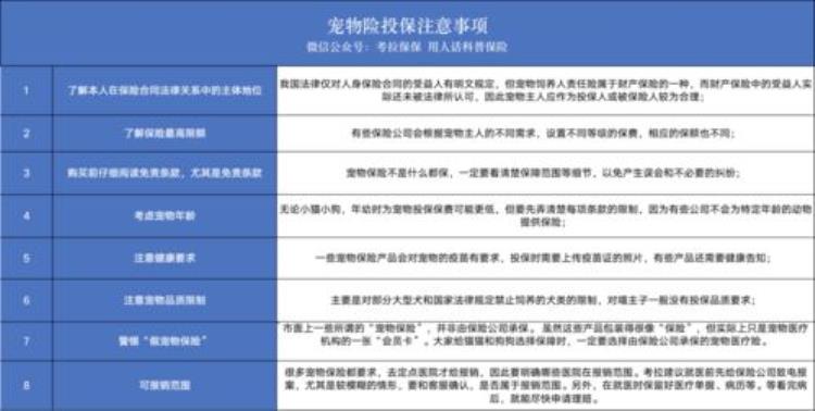 宠物医院花钱多吗「宠物医疗收费有点任性」