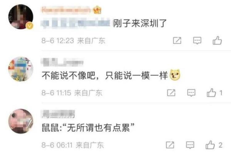 深圳动物园一袋鼠撞脸独行月球刚子网友评论亮了