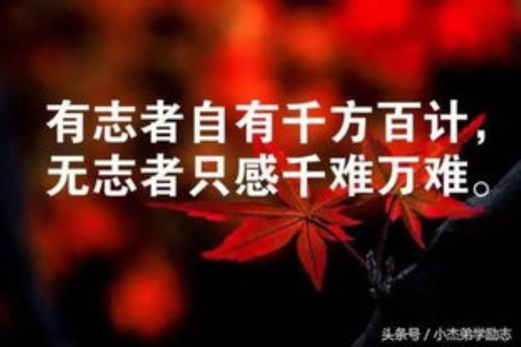 人生大事台词文案堪称经典句子「人生大事台词文案堪称经典」