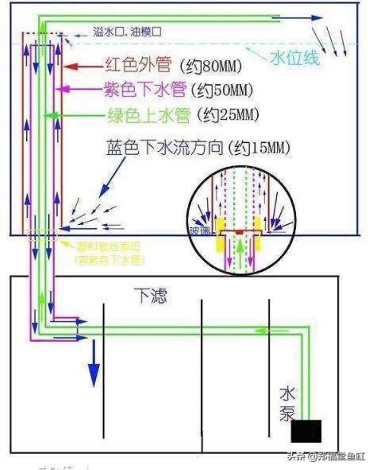 底滤鱼缸详细介绍图,底滤鱼缸如何挑选