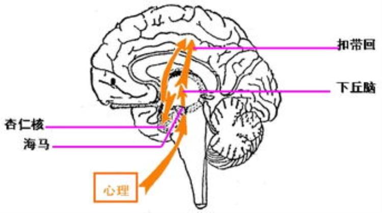 胃按有硬块「胃部有硬块是怎么回事需遵循综合治疗和个体化治疗的原则」