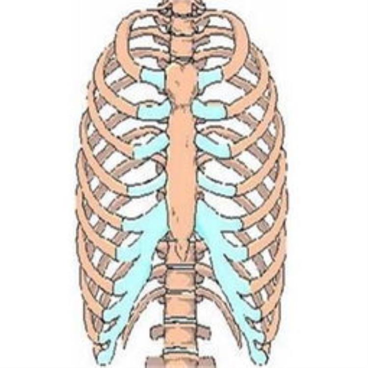 肋软骨疼到底是怎么回事是什么原因引起的呢「肋软骨处疼怎么回事」