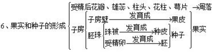 初一生物种子植物知识点「初中生物知识点种子植物」