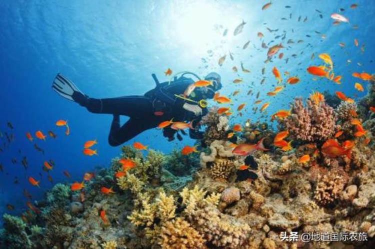 浪漫土耳其 迈阿密「想要带你去浪漫的土耳其然后为什么又特别喜欢迈阿密」