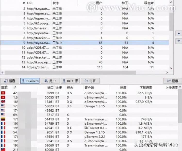 专业磁力种子下载工具qBittorrent使用教程