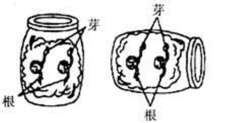 什么是恒定体温「初中科学恒定的体温每日一练含答案解析」