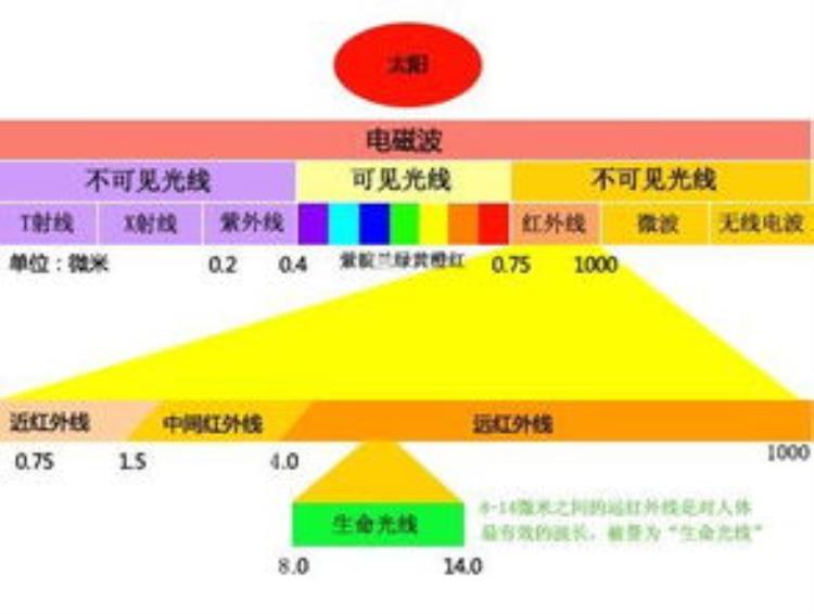 什么是恒定体温「初中科学恒定的体温每日一练含答案解析」