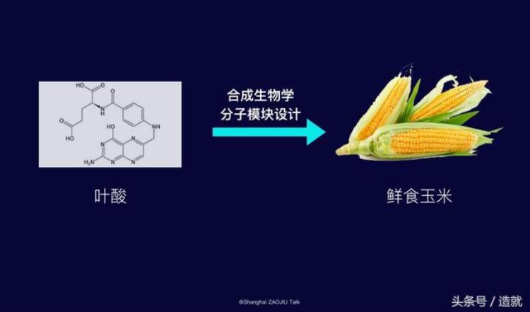 中国人为什么那么喜欢种田「为什么中国人比任何时候都迫切需要良种」