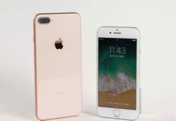 iphone8plus和iphone11差距大吗「iPhone8Plus与iPhone11价格相差不大网友们用脚投票」