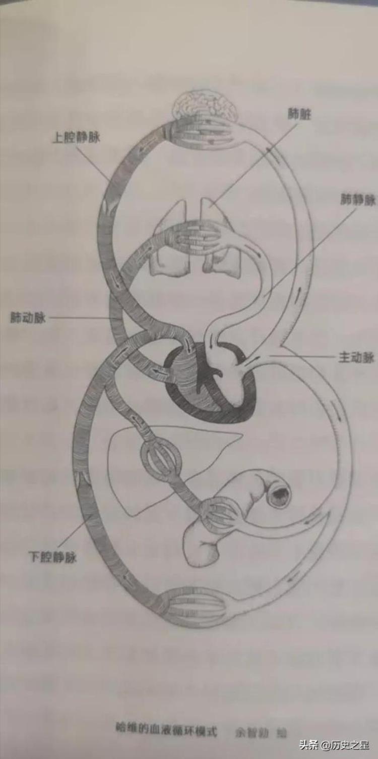 影响人类历史进程的科学发明「历史上对人类产生重大影响的十大科学发现」