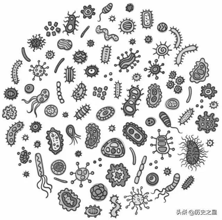 影响人类历史进程的科学发明「历史上对人类产生重大影响的十大科学发现」