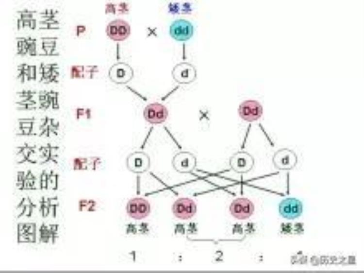 影响人类历史进程的科学发明「历史上对人类产生重大影响的十大科学发现」