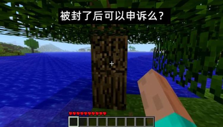 我的世界你已被管理员禁言「您已经被永久封禁禁止进入Minecraftmc聊天举报解答」