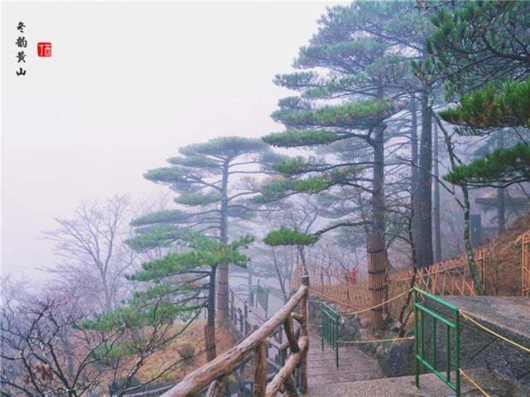 黄山风景奇绝天下为何说冬天景色最佳呢「黄山风景奇绝天下为何说冬天景色最佳呢」