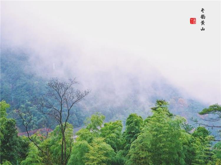 黄山风景奇绝天下为何说冬天景色最佳呢「黄山风景奇绝天下为何说冬天景色最佳呢」