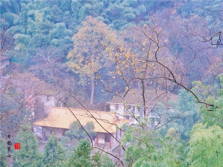 黄山风景奇绝天下为何说冬天景色最佳呢「黄山风景奇绝天下为何说冬天景色最佳呢」