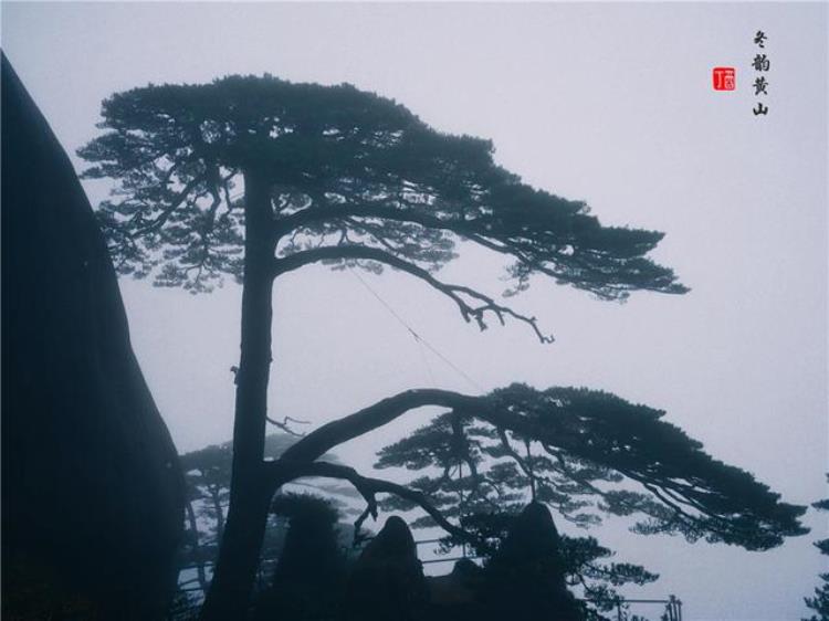 黄山风景奇绝天下为何说冬天景色最佳呢「黄山风景奇绝天下为何说冬天景色最佳呢」