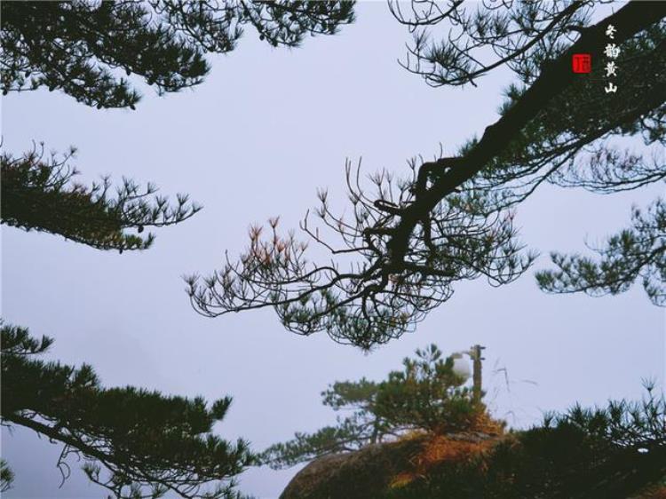 黄山风景奇绝天下为何说冬天景色最佳呢「黄山风景奇绝天下为何说冬天景色最佳呢」