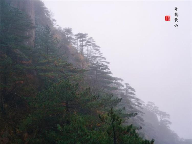 黄山风景奇绝天下为何说冬天景色最佳呢「黄山风景奇绝天下为何说冬天景色最佳呢」