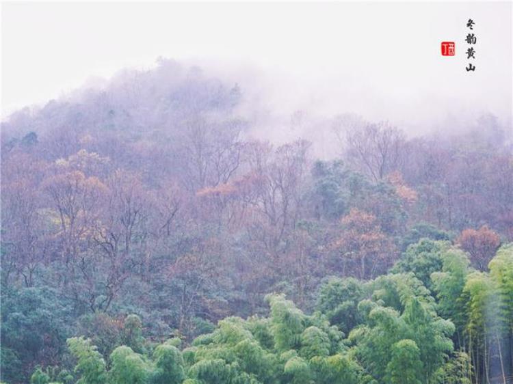 黄山风景奇绝天下为何说冬天景色最佳呢「黄山风景奇绝天下为何说冬天景色最佳呢」