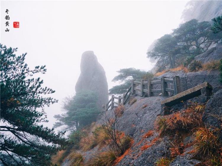 黄山风景奇绝天下为何说冬天景色最佳呢「黄山风景奇绝天下为何说冬天景色最佳呢」