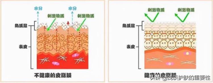 皮肤出油怎么补水才行,皮肤干燥补水最好办法