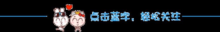 斗罗大陆4终极斗罗完整版「斗罗大陆4终极斗罗」