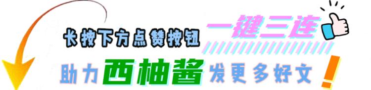 赵无极挨揍是哪一集「论挨打的重要性赵无极再成背锅侠斗罗中还有哪些受气包」