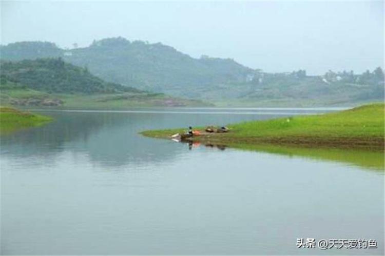 春季钓鱼没口是什么原因「春季钓鱼黄金季还是久坐无鱼咬钩原因基本在这里」