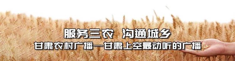 5月的甘肃,广西什么时候入夏