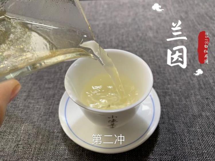 白茶里的春尾牡丹「春茶季的两个坑除了早上市的白毫银针还有四月就压的白牡丹饼」