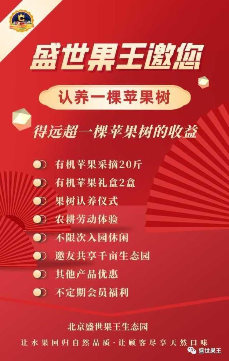 北京怀柔青苹果生态园「有机苹果太甜了北京怀柔千亩生态园推出认养一颗苹果树活动」