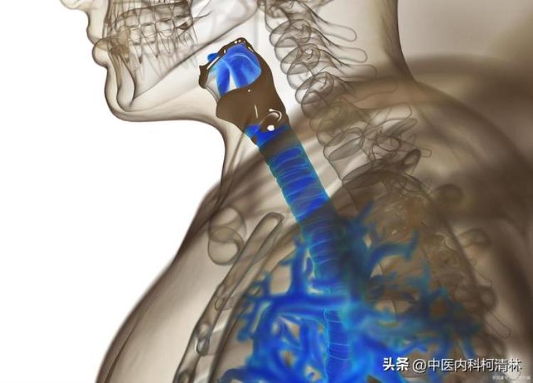 躺下呼气时就有哮鸣音「一躺下喘气就有哮鸣音但坐起来就没有了老军医为你解释为什么」