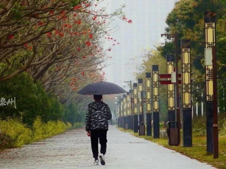 杭州下雨没有今天「雨雨雨又要来杭州了1月还剩13天但可能只有3天不下雨」