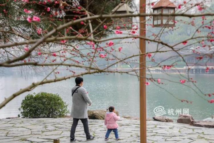 杭州下雨没有今天「雨雨雨又要来杭州了1月还剩13天但可能只有3天不下雨」