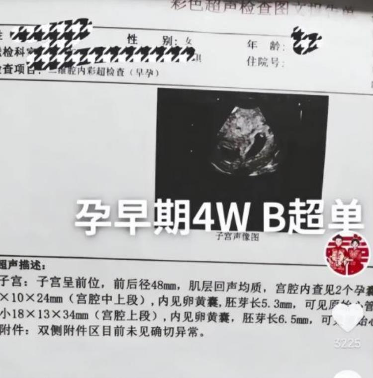 陈小萌是谁,朱小伟与陈萌最新消息