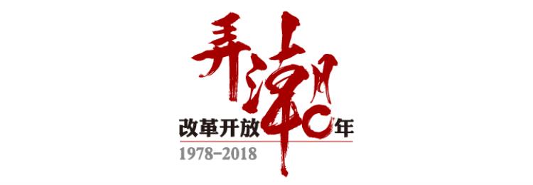 桐庐快递村家族,浙江桐庐发展现状