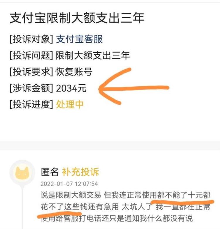 支付宝交易涉嫌违规,限制账户功能,支付宝被限制转账及提现30天