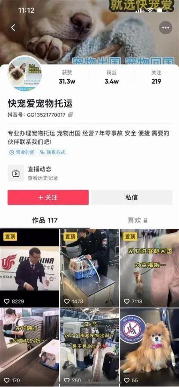 花费近5万多元托运的宠物狗途中死亡接下来发现的一切让她更崩溃