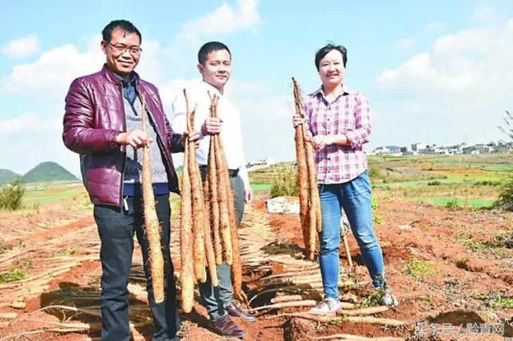 安顺西秀区批发市场,电商订单完结率什么意思