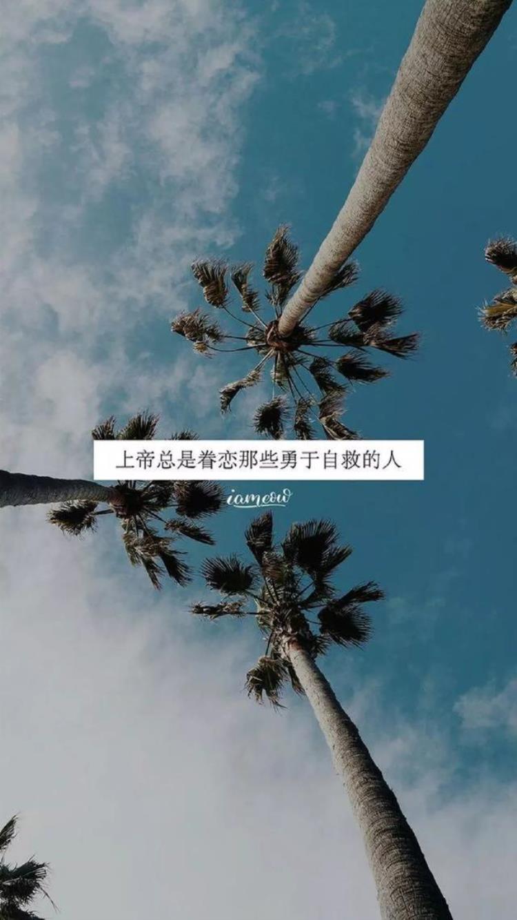 抖音上的各种潮图壁纸 手机壁纸,抖音最火潮图手机壁纸