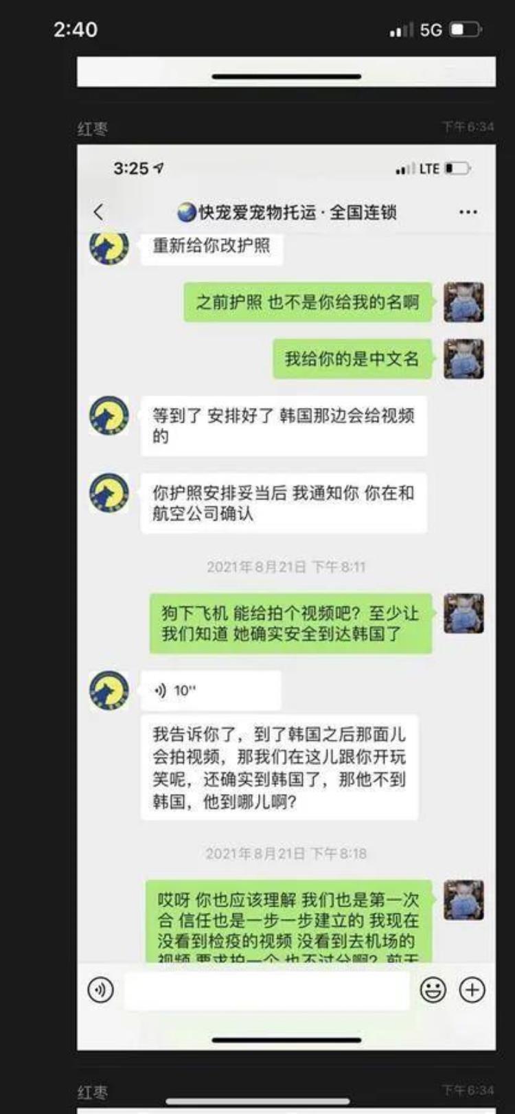 花费近5万多元托运的宠物狗途中死亡接下来发现的一切让她更崩溃