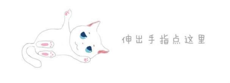 猫咪咬主人是怎么回事,猫咪咬主人有什么征兆